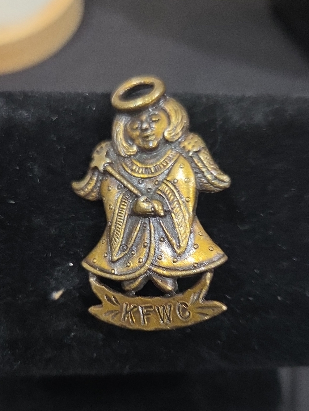 KENTUCKY FEDERATION OF WOMENS CLUBS PIN